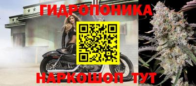 соль ск Сланцы