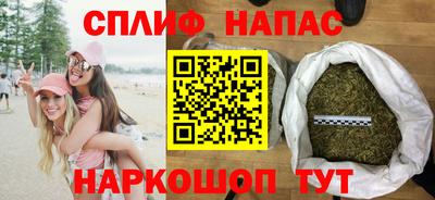 гидра Славянск-на-Кубани