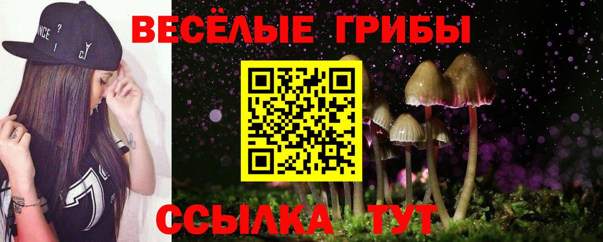 Орехово-Зуево  Галлюциногенные грибы мухоморы  Вход с VPN 