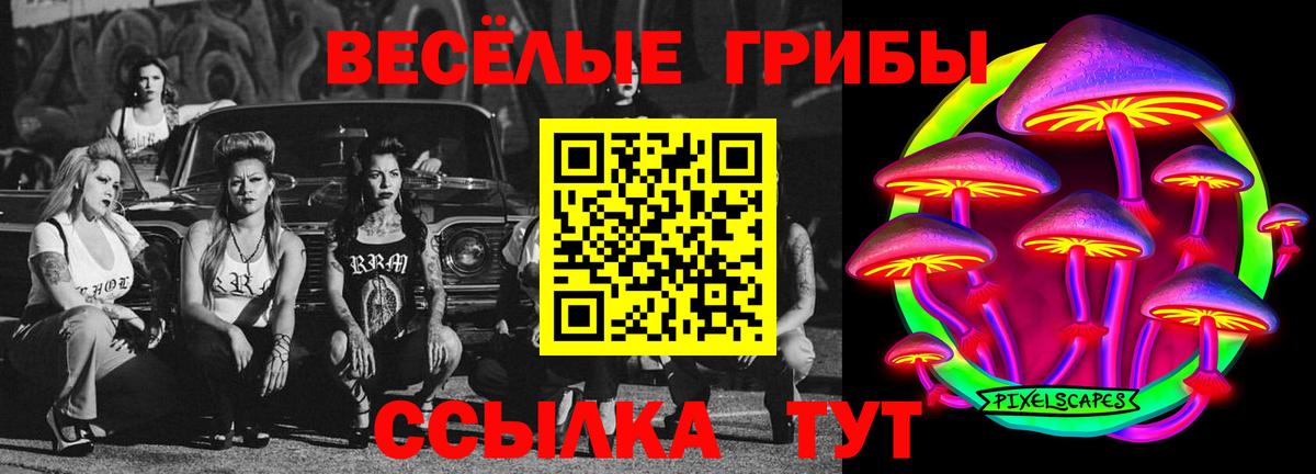 Галлюциногенные грибы прущие грибы Орехово-Зуево
